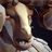Icon for enemy